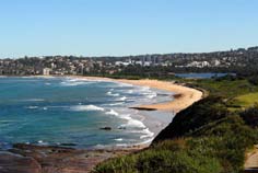 sydney northern beaches tour - dee why
