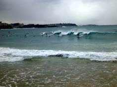 northern beaches waves