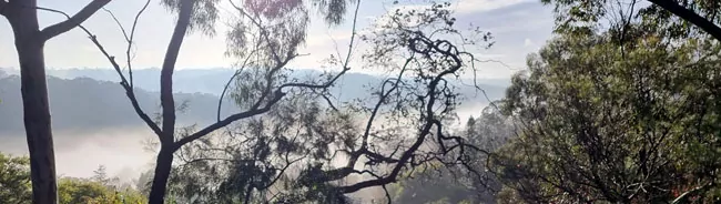 forumlario de renunciar