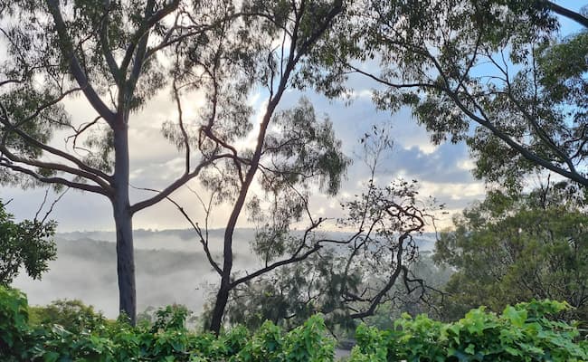 Travel Ideology Sydney Tours