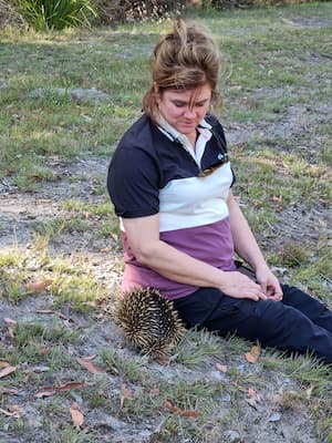 guest with echidna