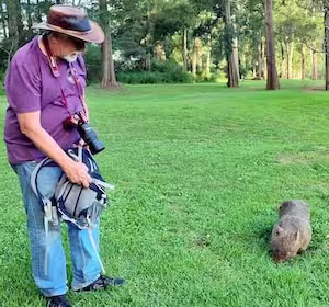 guest with wombat