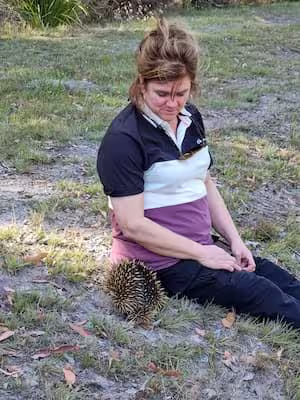Guest with echidna on a Travel Ideology Walking with Wild Wombats tour.