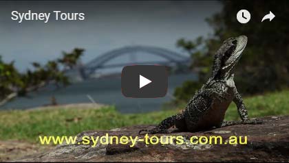 Sydney Tours Video